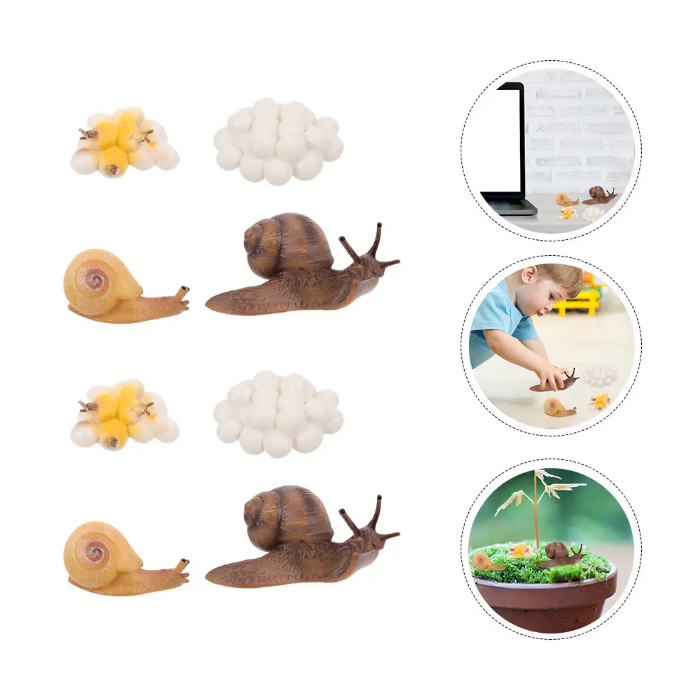 2 компл., цикл роста улитки - Фотография_4