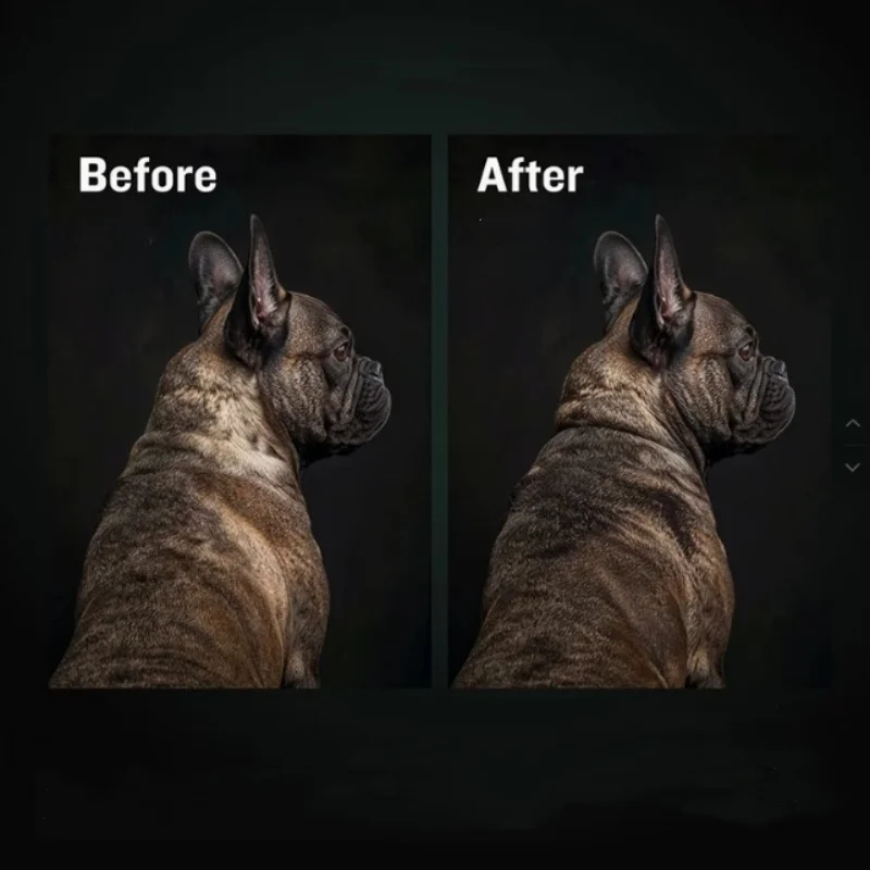 Оптовая формула bully max high protein & growth для puppies - Фотография_5