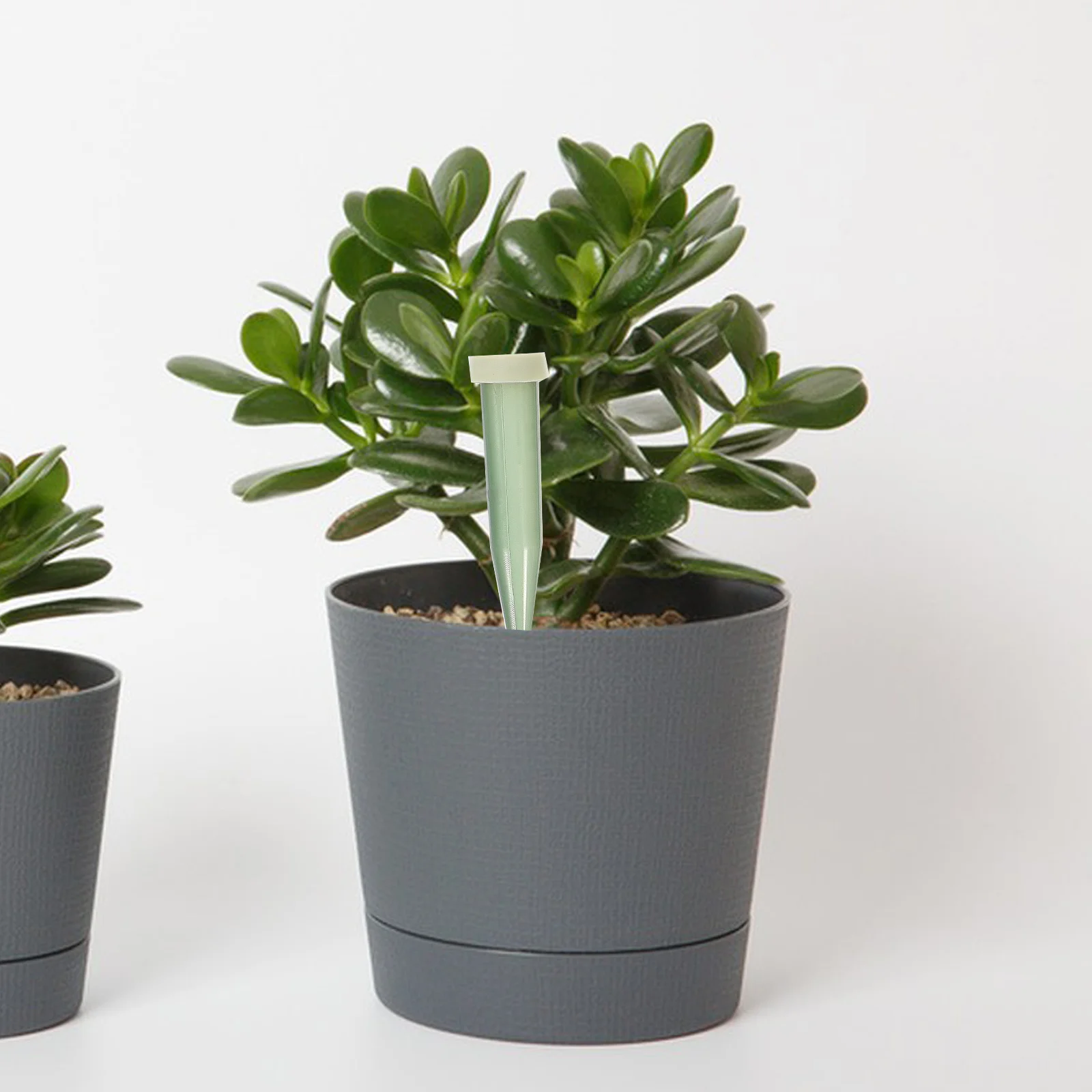 Трубки для хранения цветов - Фотография_4