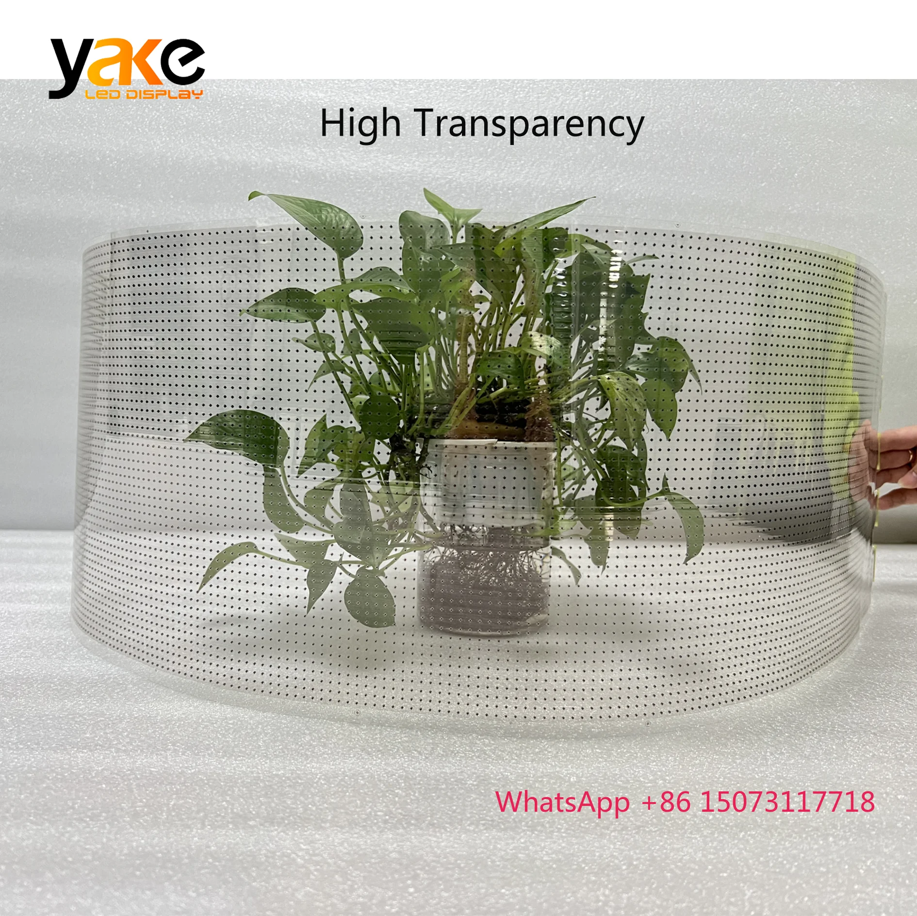 Индивидуальная гибкая прозрачная светодиодная пленка - Фотография_4