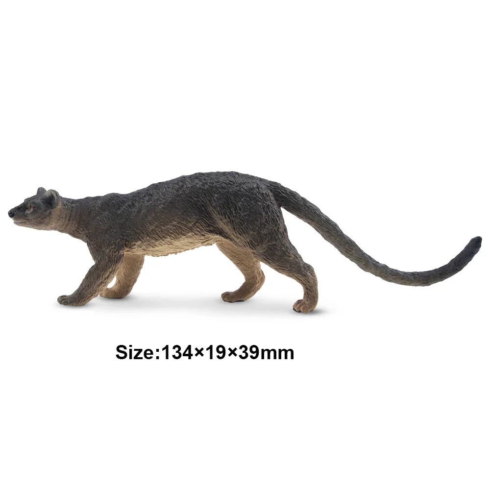 Toymany моделирование fossa мадагаскар - Фотография_3