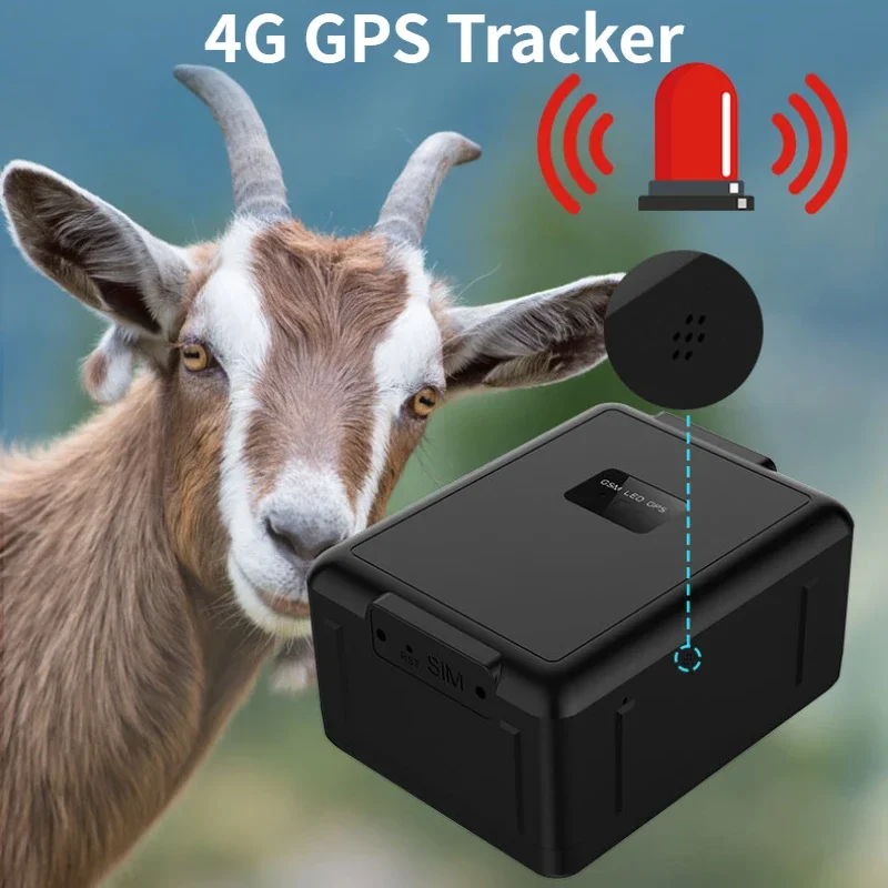 Rf-v55 4g gps трекер 4g lte/3g