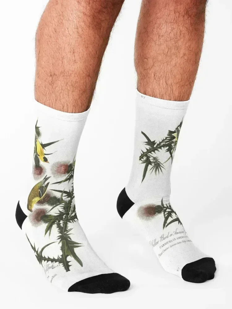 Носки goldfinch and thistle - Фотография_3
