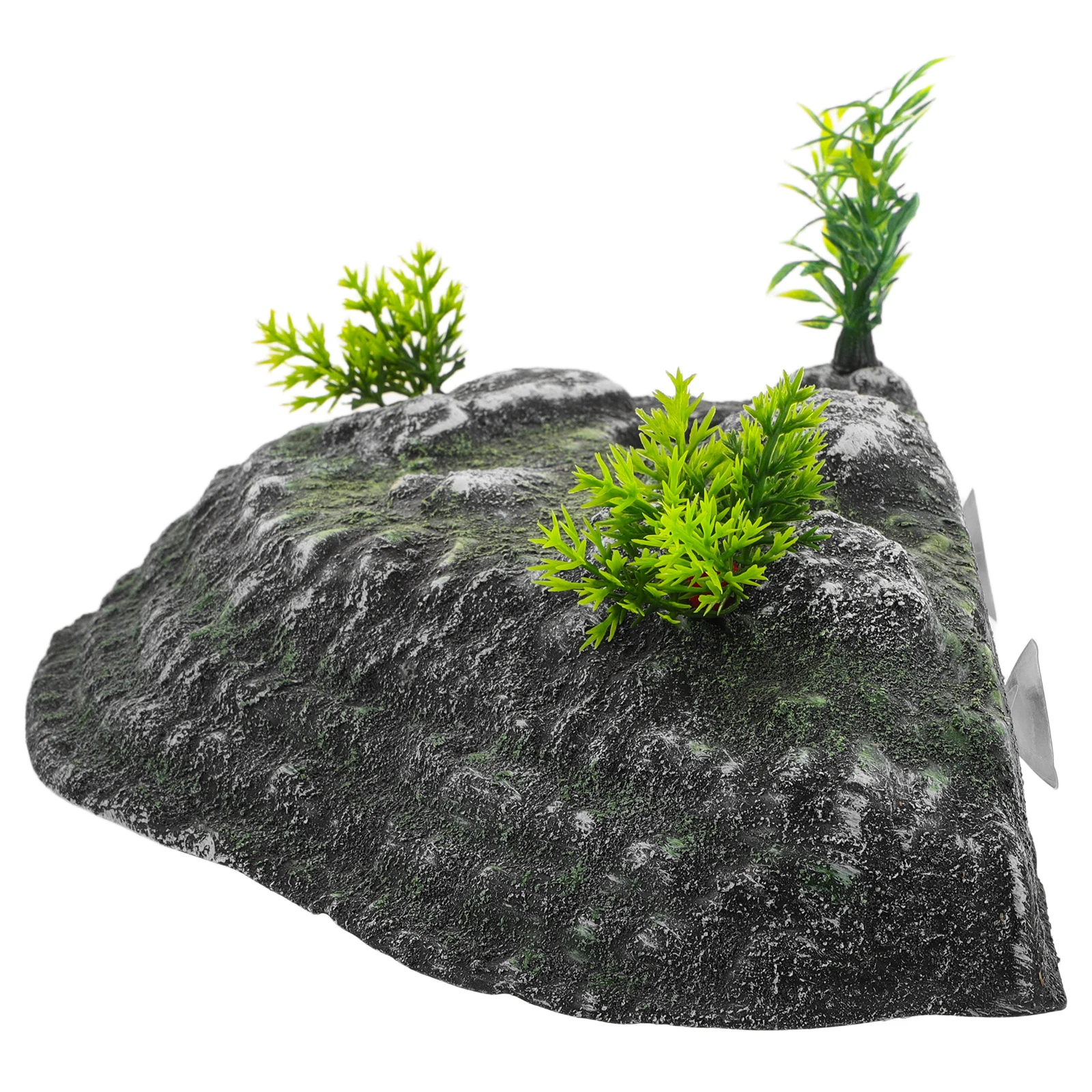 Платформа для сушки черепахи - Фотография_5