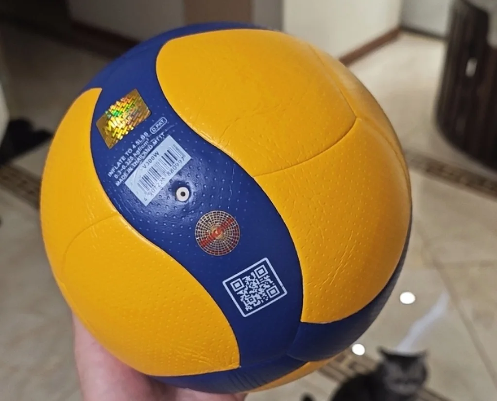 Оригинальный японский v300w v200w - Фотография_2