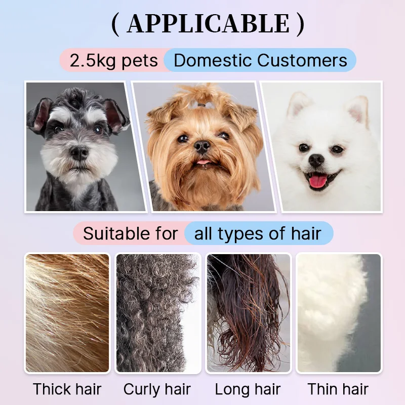 Fenice 6,5-дюймовые красочные прямые - Фотография_5