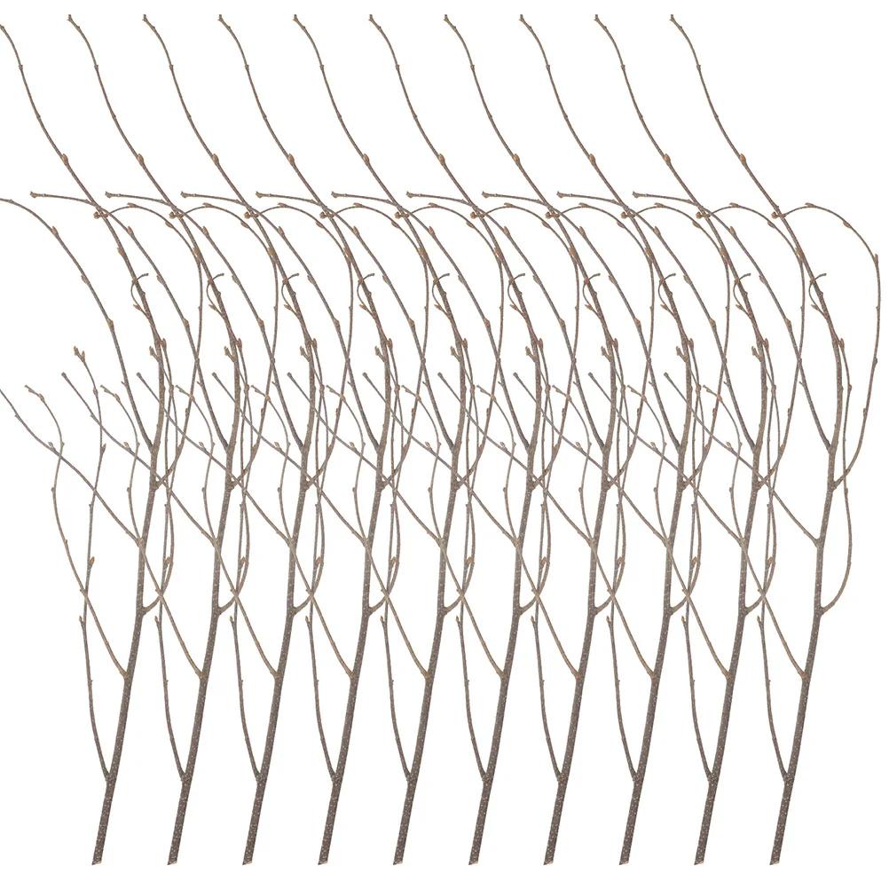 Домашние декоративные ветки