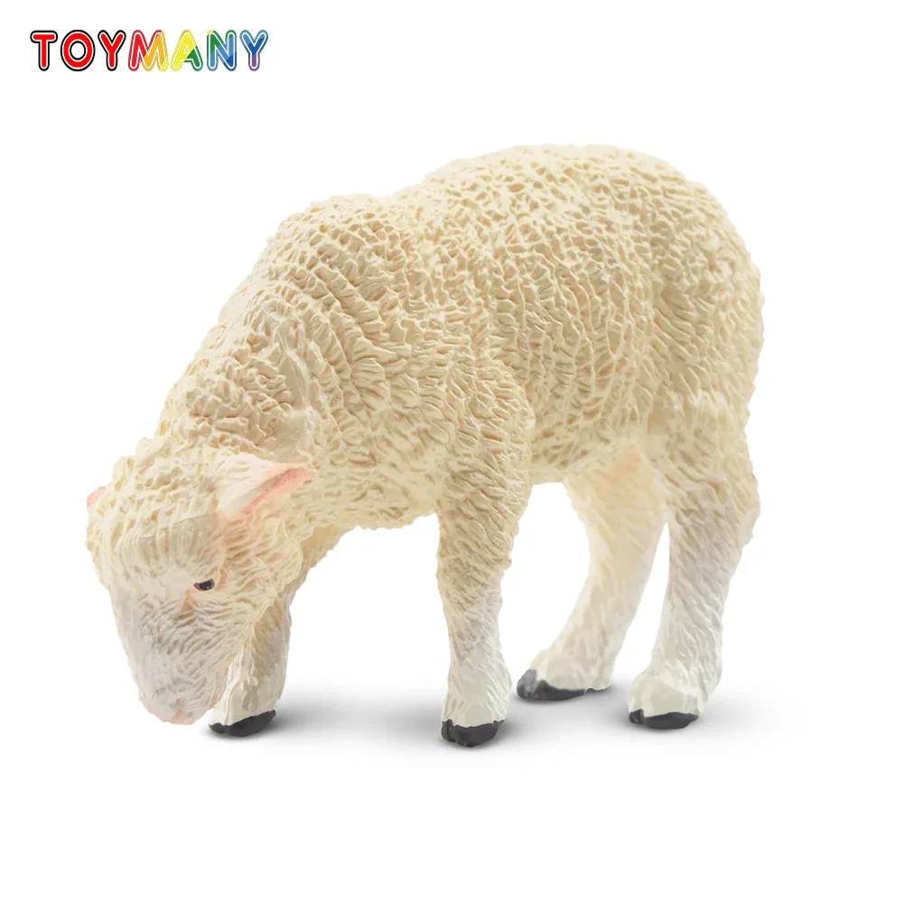 Toymany моделирование сбора белого