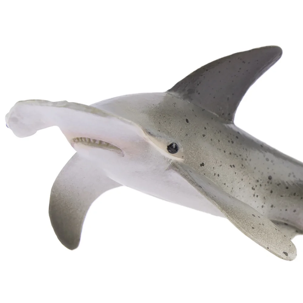 Toymany моделирование bonnethead - Фотография_5
