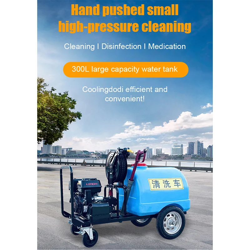 Бензиновый/дизельный мини-автомобиль - Фотография_4