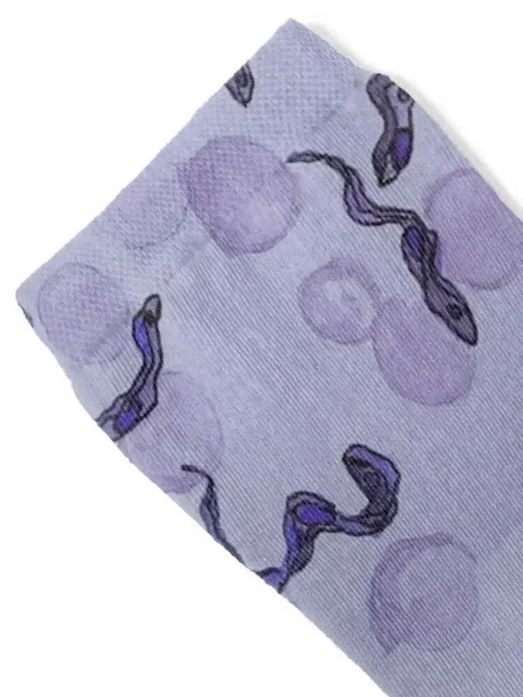 Tyropanosomes on blood smear носки - Фотография_2