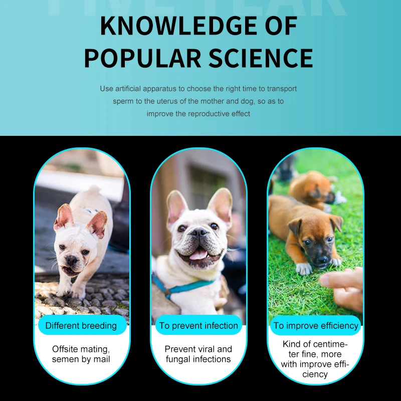 Одноразовый катетер для искусственного - Фотография_3