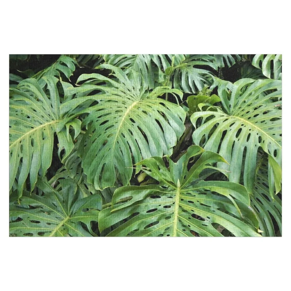 Пазл philodendron масштабные моторы