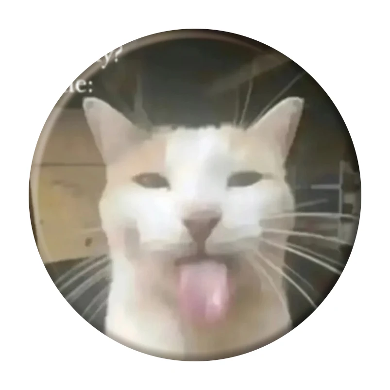 58 мм забавный кот - Фотография_3