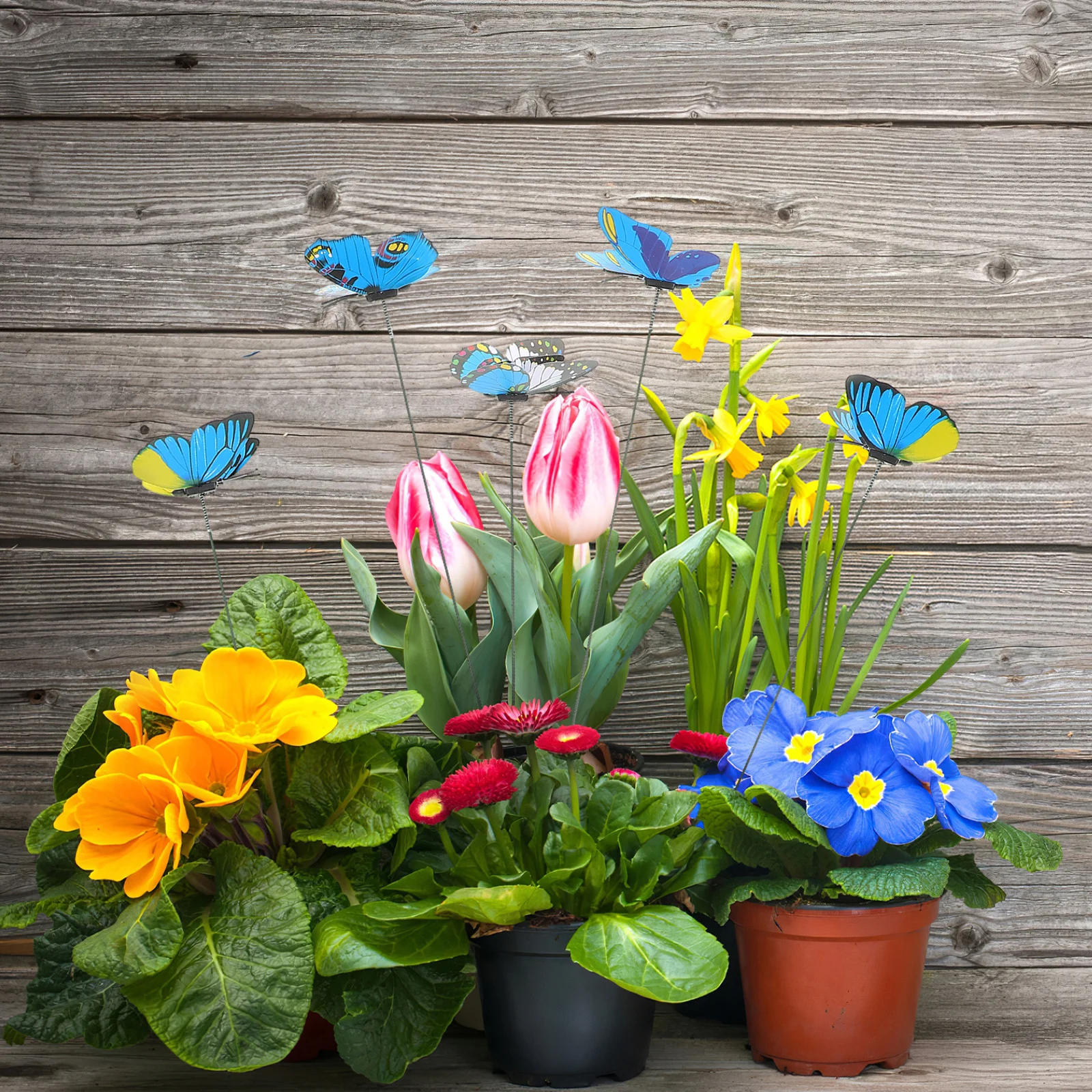 Выбор цветов-бабочек-7 см - Фотография_2