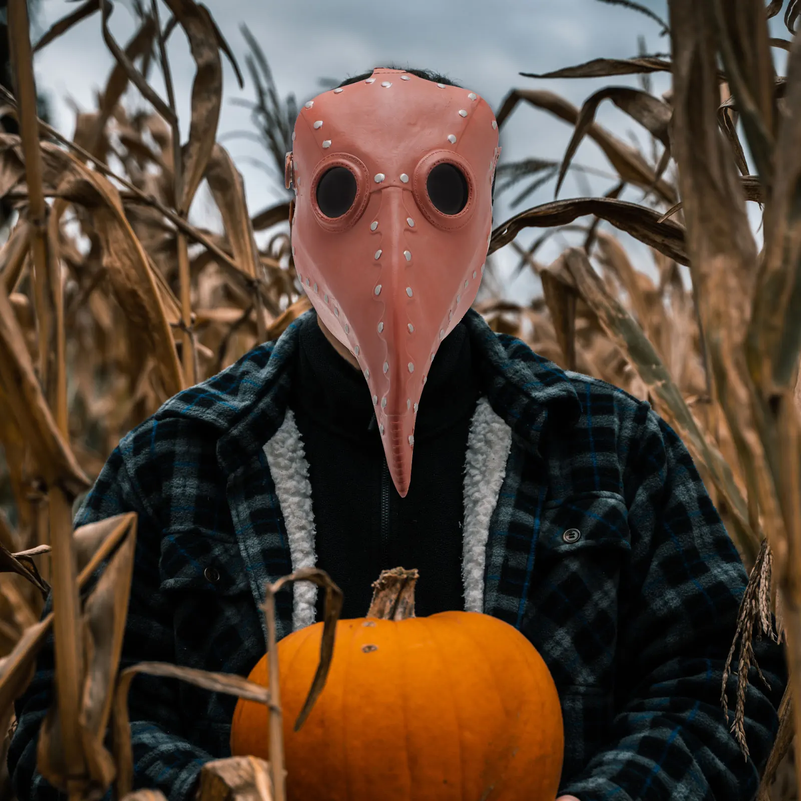 Маска клюва чумной птицы - Фотография_4