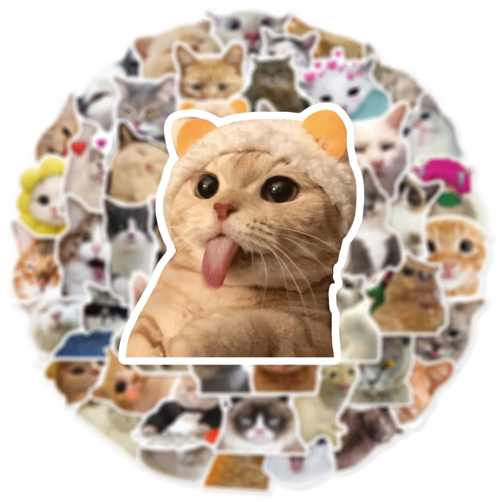 Модный милый мультяшный реалистичный - Фотография_2
