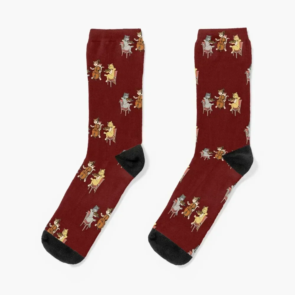 Кошки играют на скрипке