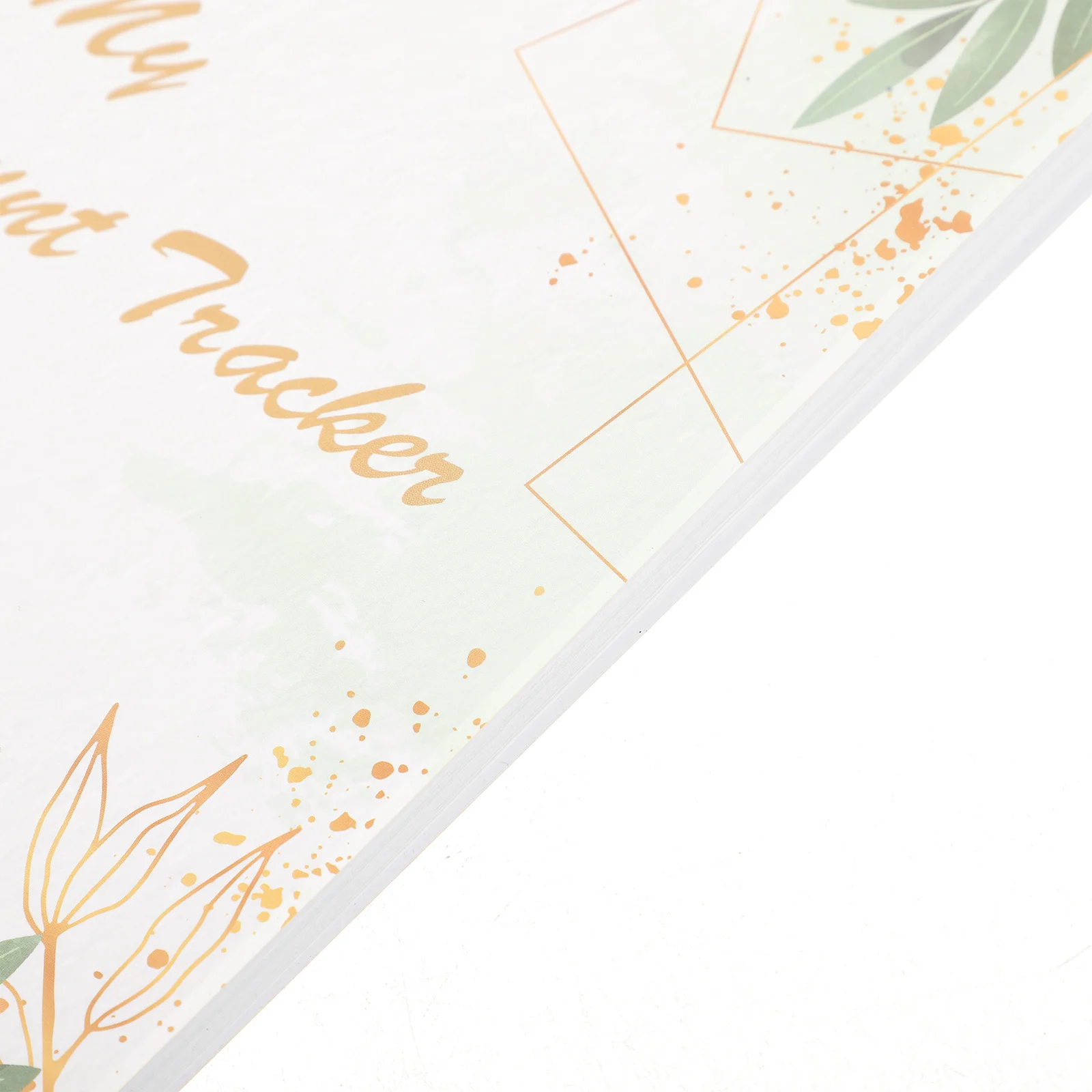 Контрольная книга финансового аппарата