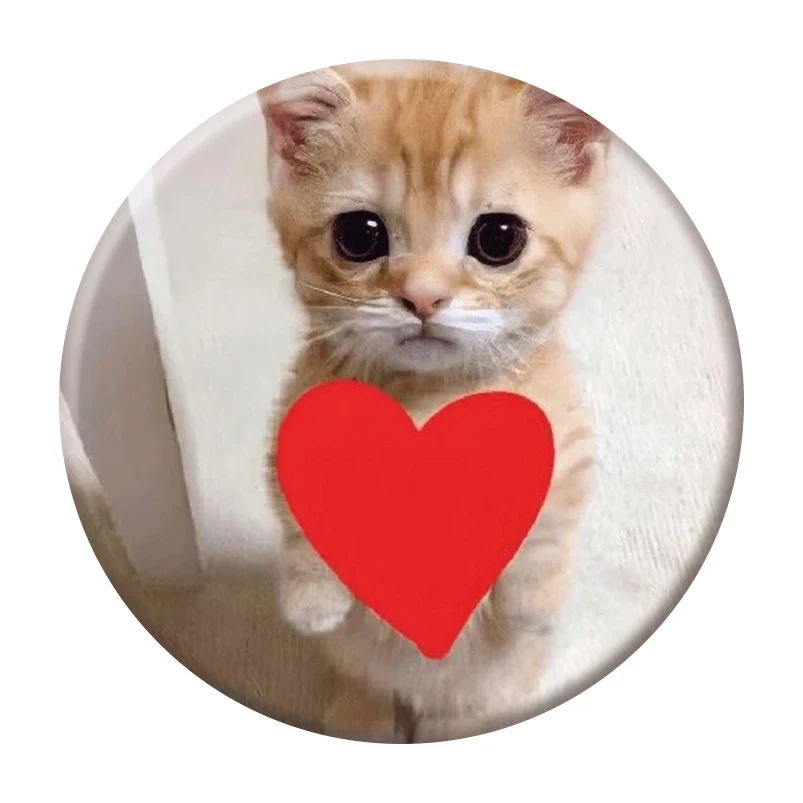 58 мм забавный кот - Фотография_2