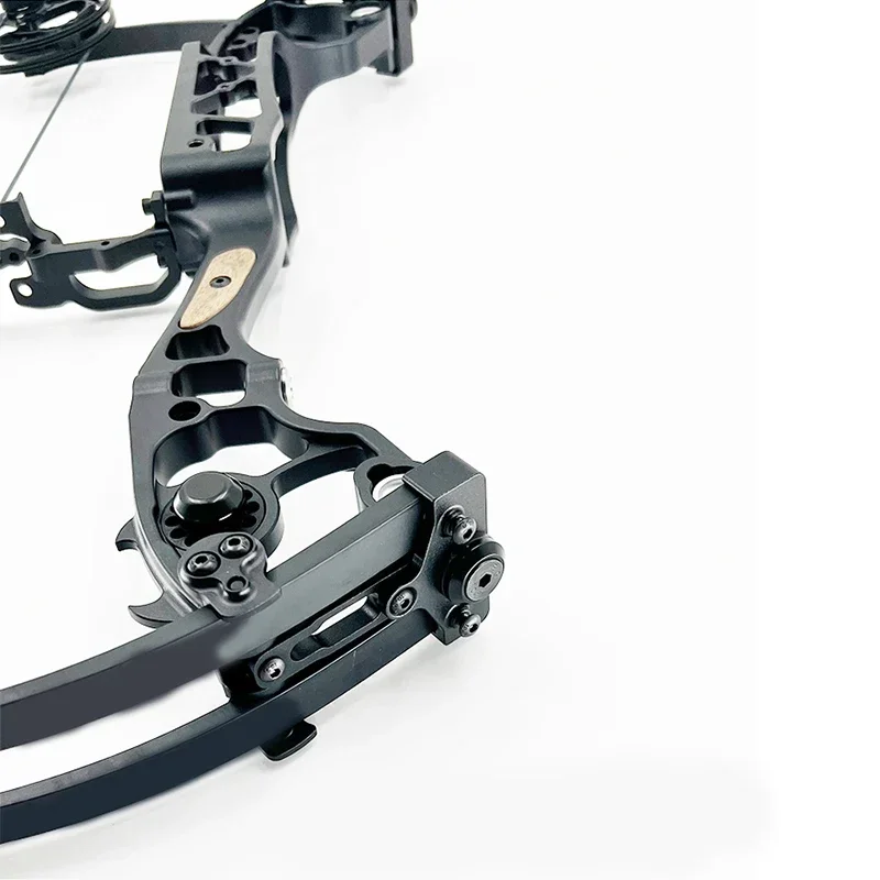 Компаундный лук двойного назначения - Фотография_5