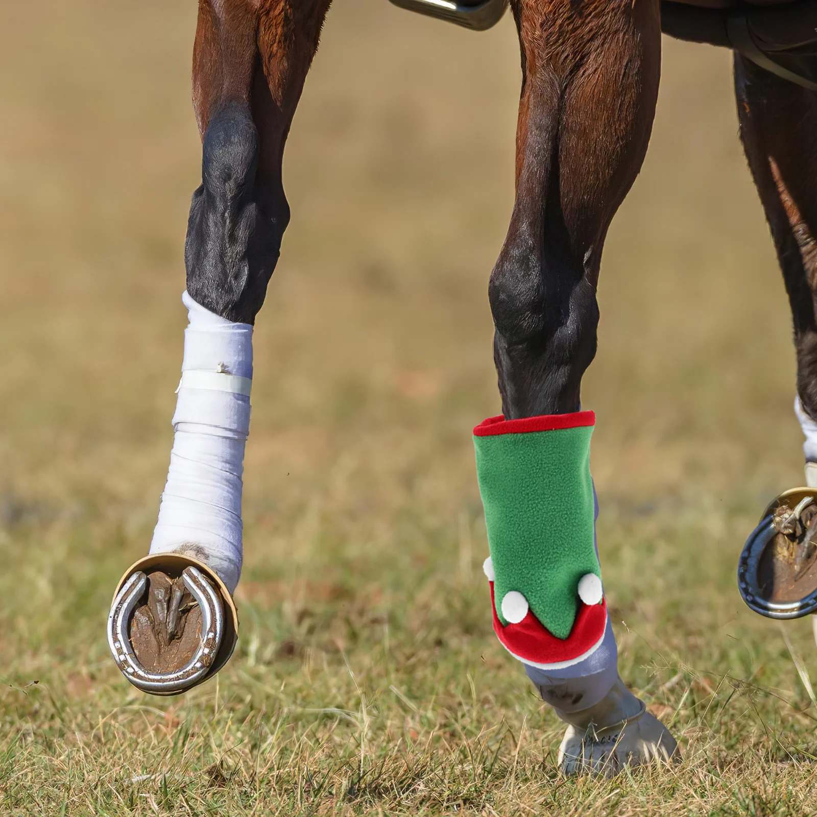 1 комплект, аксессуар для лошади - Фотография_3