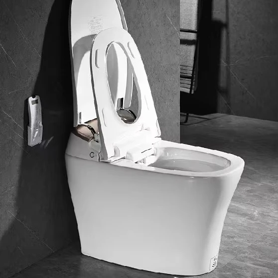 Intelligente une toilette intelligente