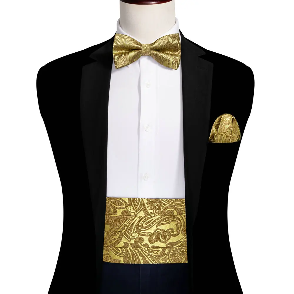 Роскошный золотой cummerbund мужской
