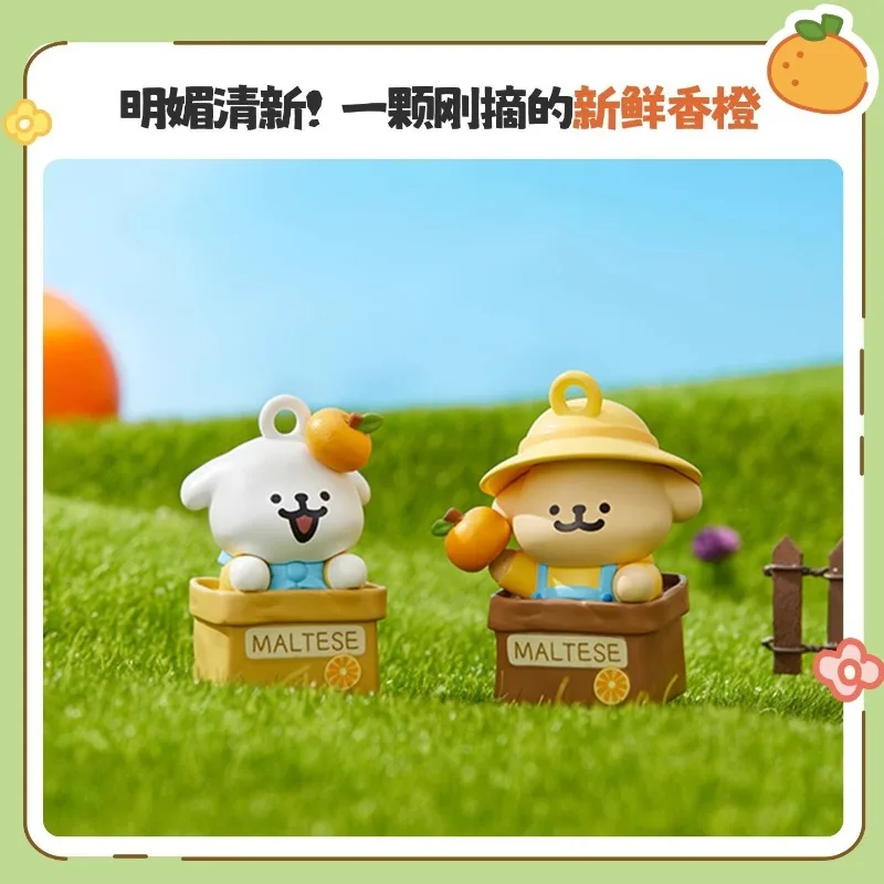 Miniso мальтийский автомобиль - Фотография_5