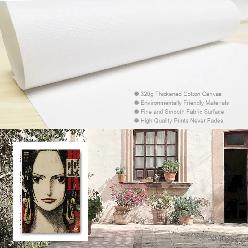 Hd постер холст зоро луффи семь - Фотография_4