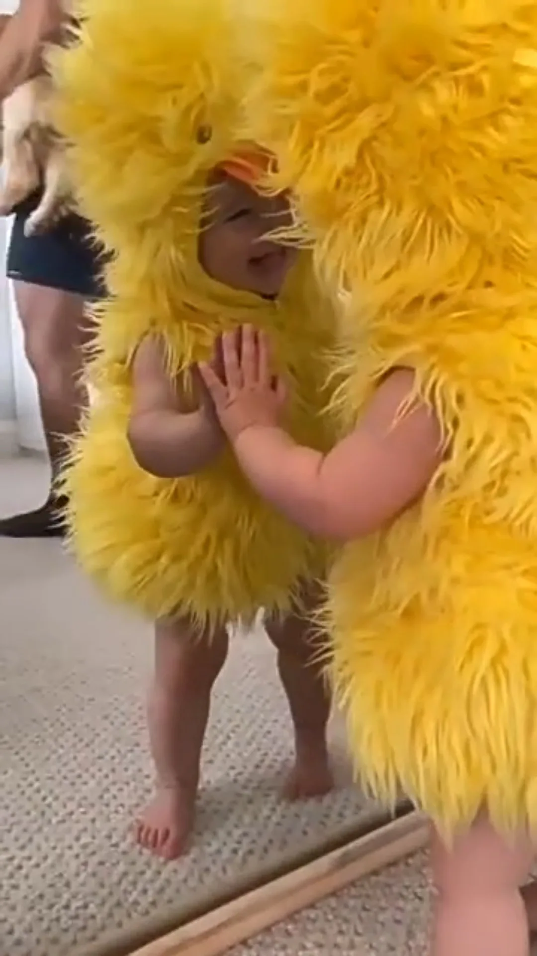 Очаровательный костюм детской утки - Фотография_6