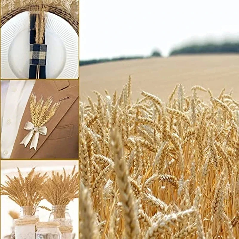 Сушеные цветы натуральные стебли - Фотография_5