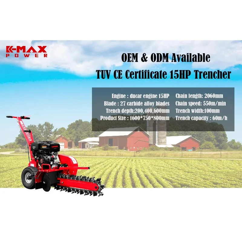 Tr15 maxpower бензиновый двигатель - Фотография_6