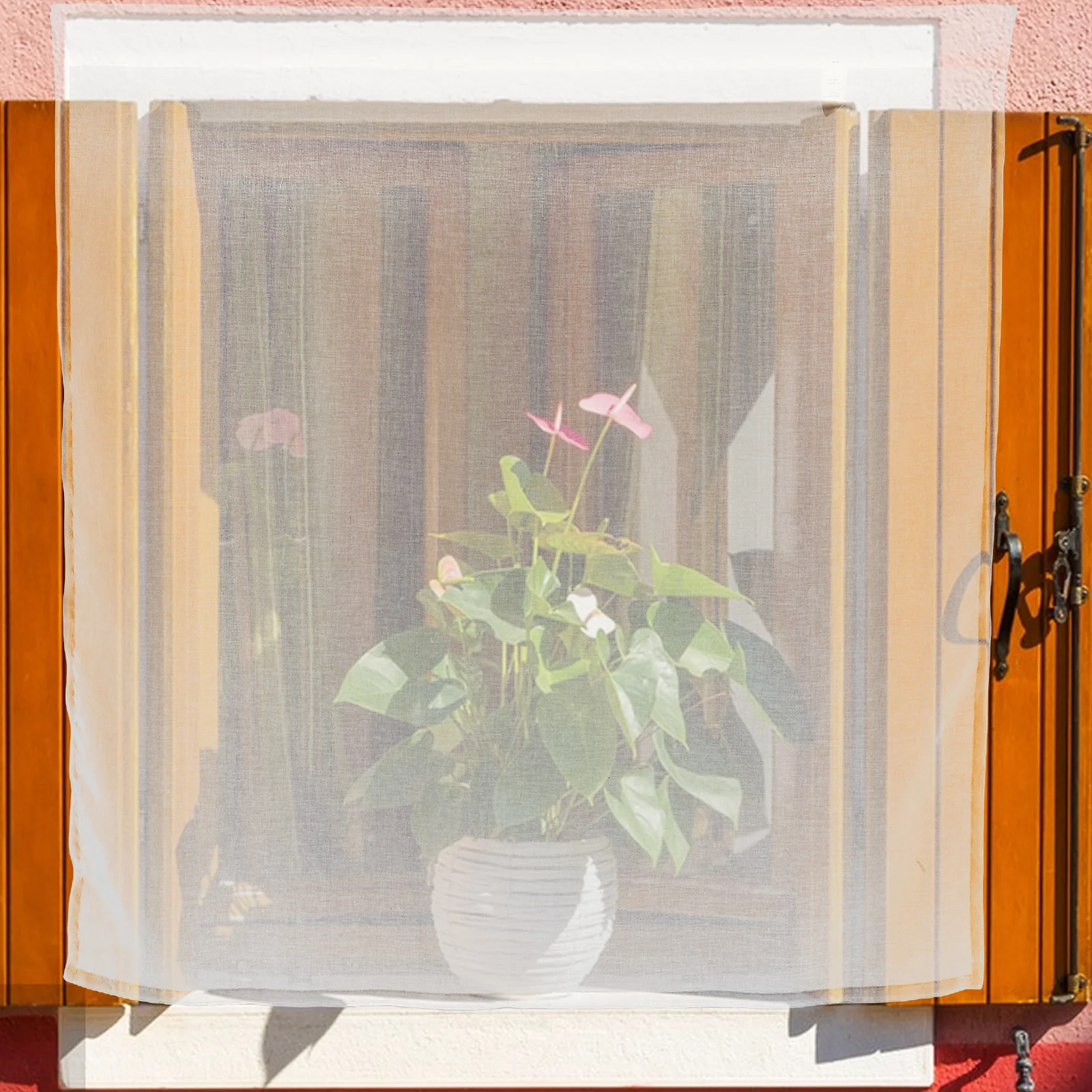 Белые короткие прозрачные шторы - Фотография_6