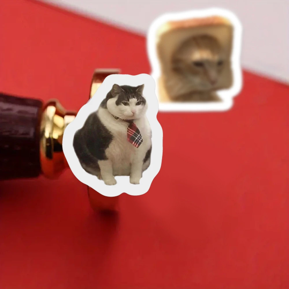 Забавный кот мем уплотнительные - Фотография_5