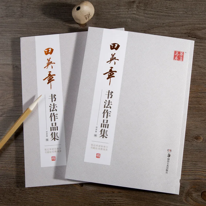 Тетрадь для каллиграфии ouyang xun с кисточкой tian yingzhang - Фотография_3
