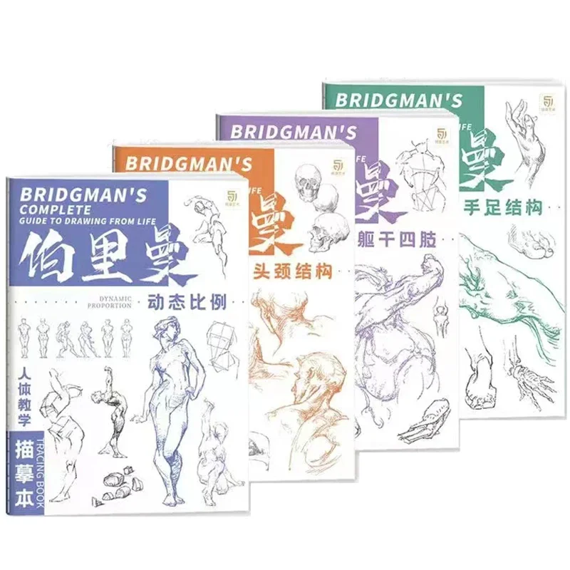 Полный путеводитель bridgman для рисования из жизни - Фотография_6