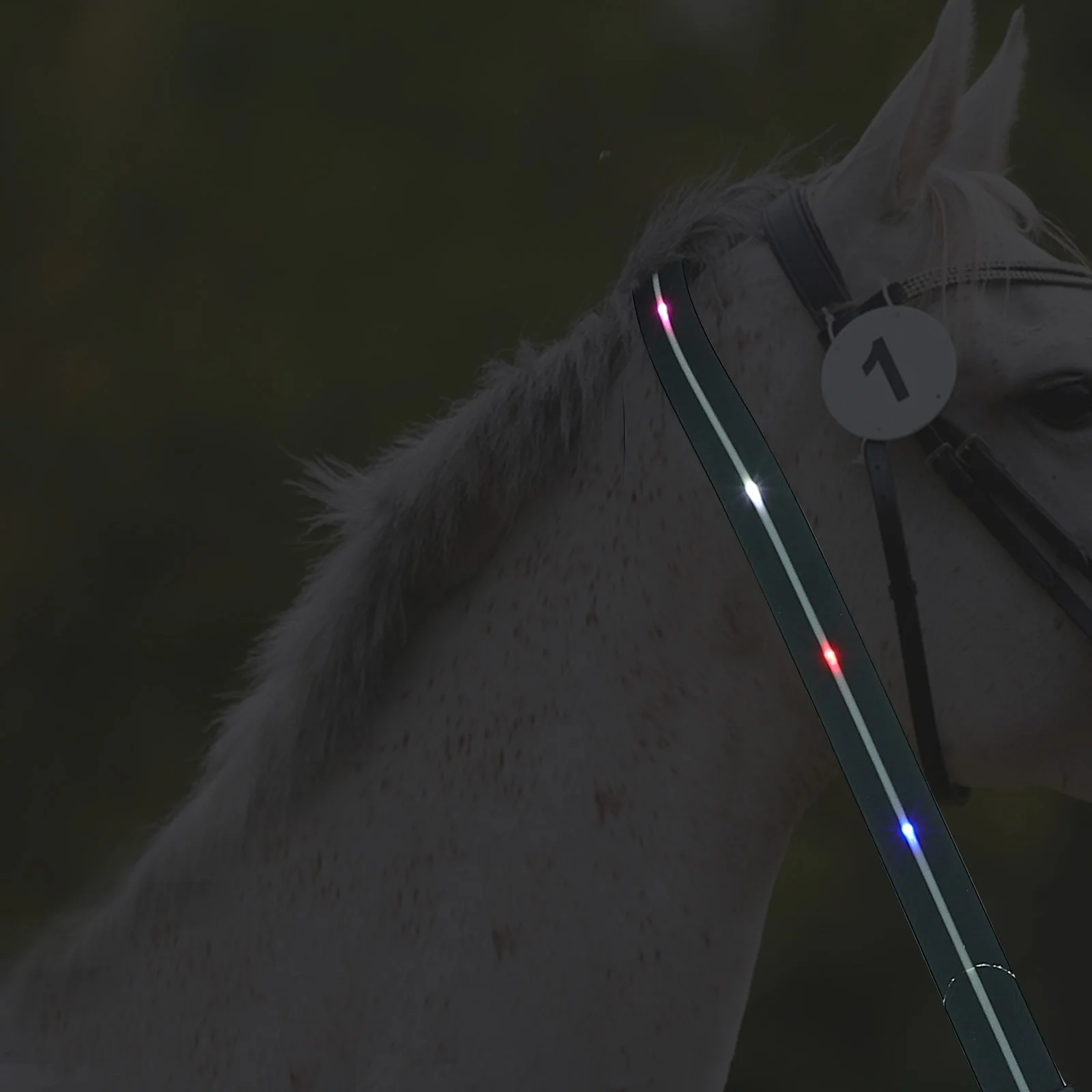 Светящаяся нагрудник для лошади со светодиодной подсветкой - Фотография_6