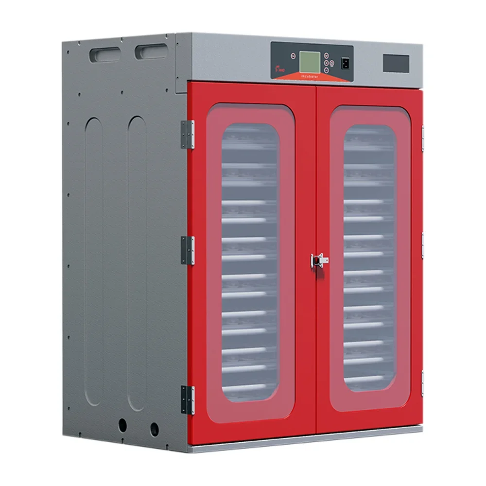 Wonegg новая модель - Фотография_3