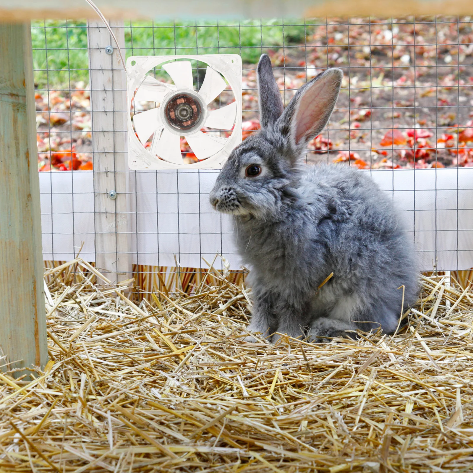 Акриловый вентилятор в клетку для маленьких домашних животных
