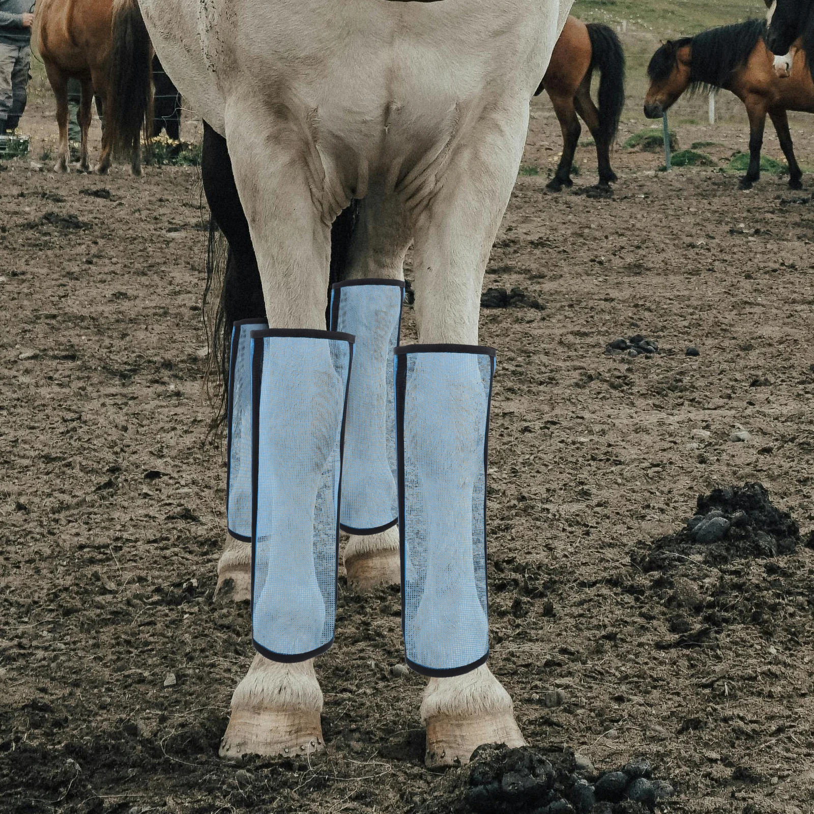 Ботинки с дышащей сеткой - Фотография_3