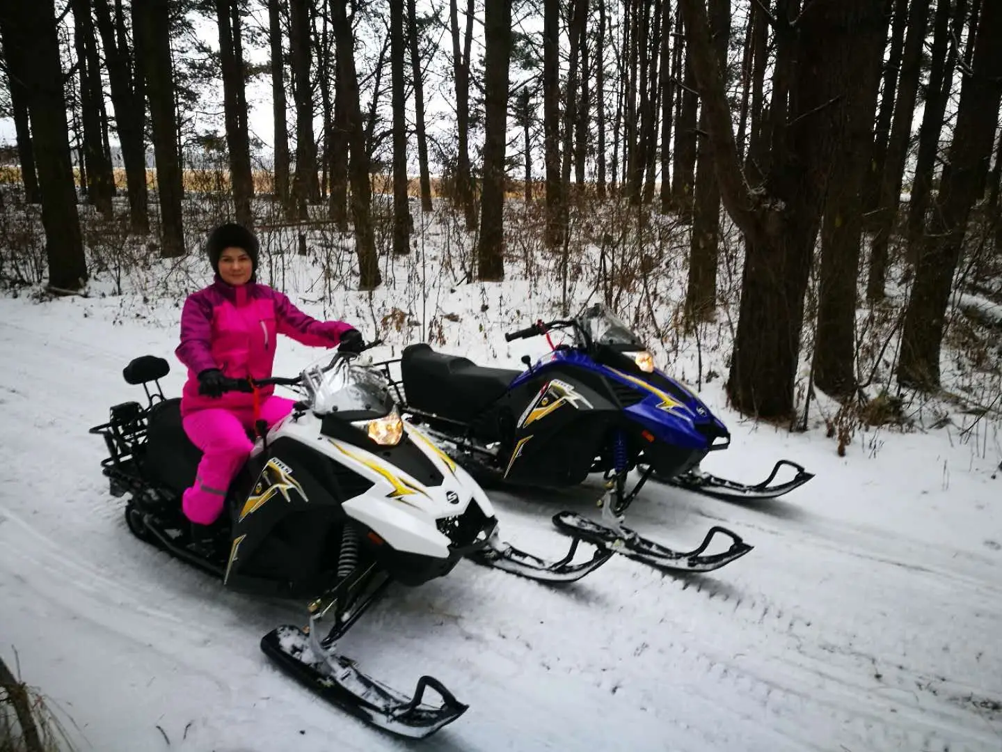 Многоцелевой снегоход для взрослых - Фотография_6