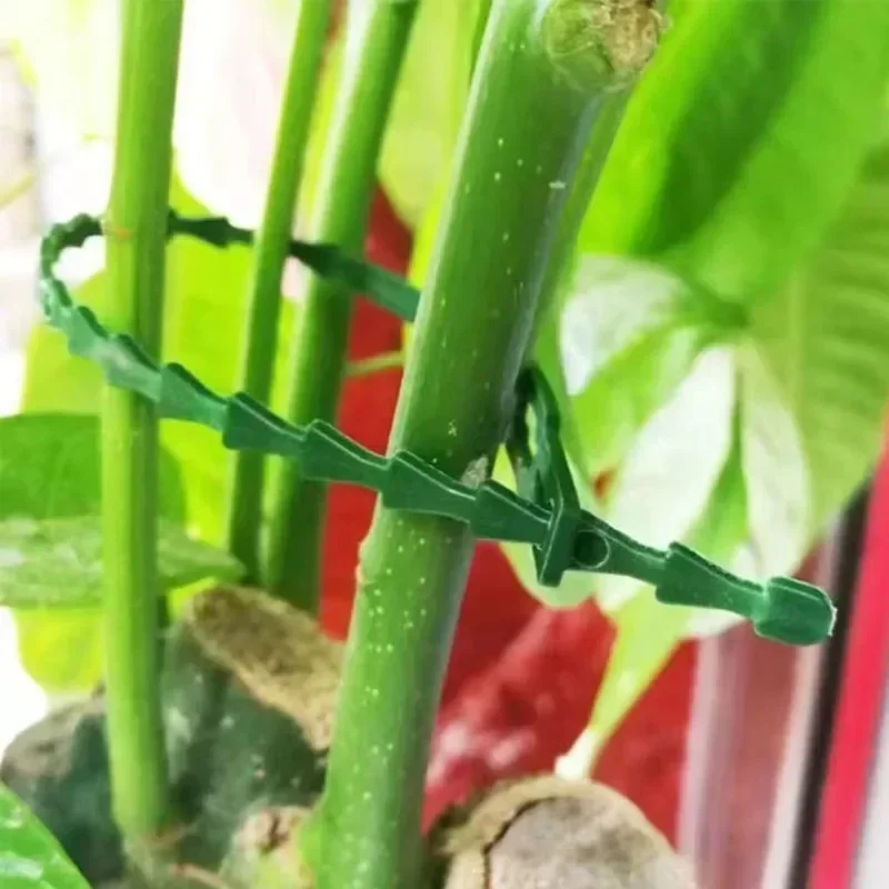 Многоразовые садовые кабельные стяжки - Фотография_3