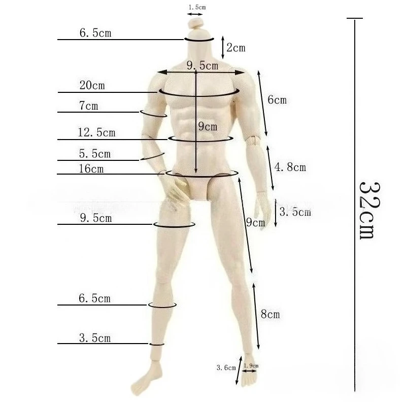 Мужское тело куклы 30 см для куклы 1/6 fr с белой/обычной/коричневой кожей - Фотография_2
