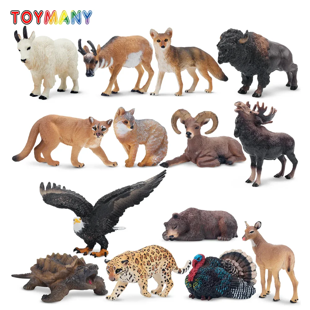 Toymany моделирование мини северноамериканские
