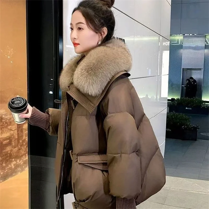 Пуховик на хлопковой подкладке 2024 - Фотография_2