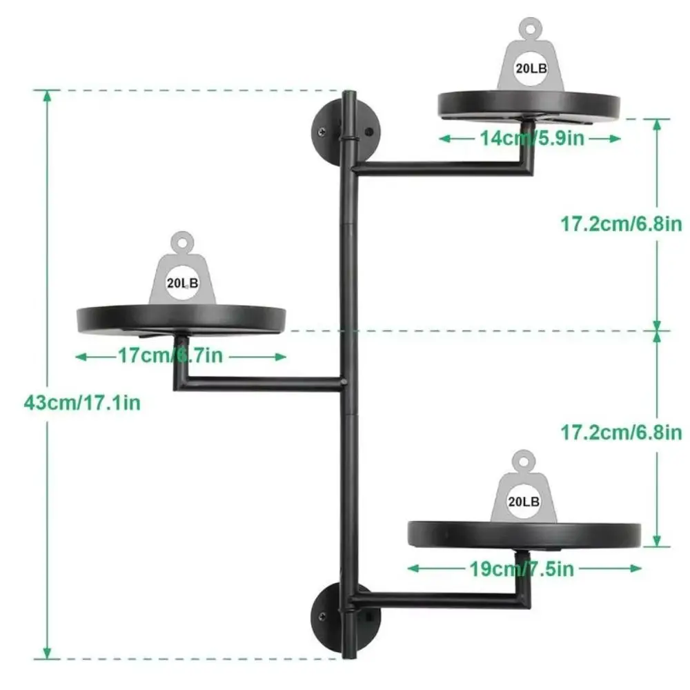 Зеленое растение в горшке - Фотография_6