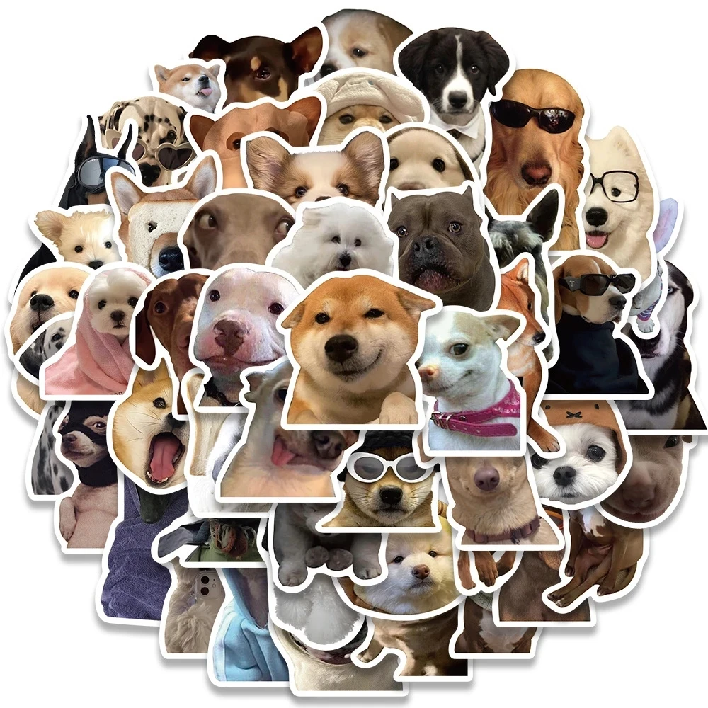 Милая собака кошка мем забавные
