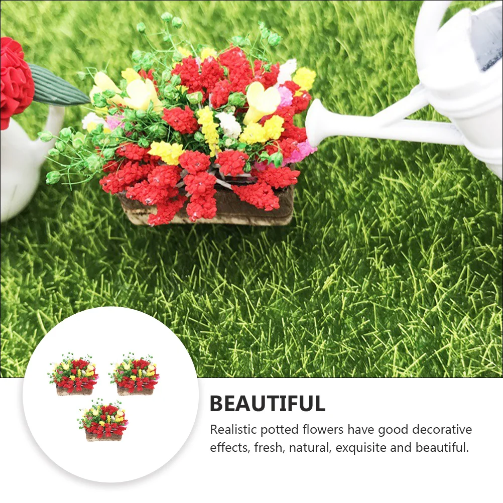 Сочные горшки для дома - Фотография_5