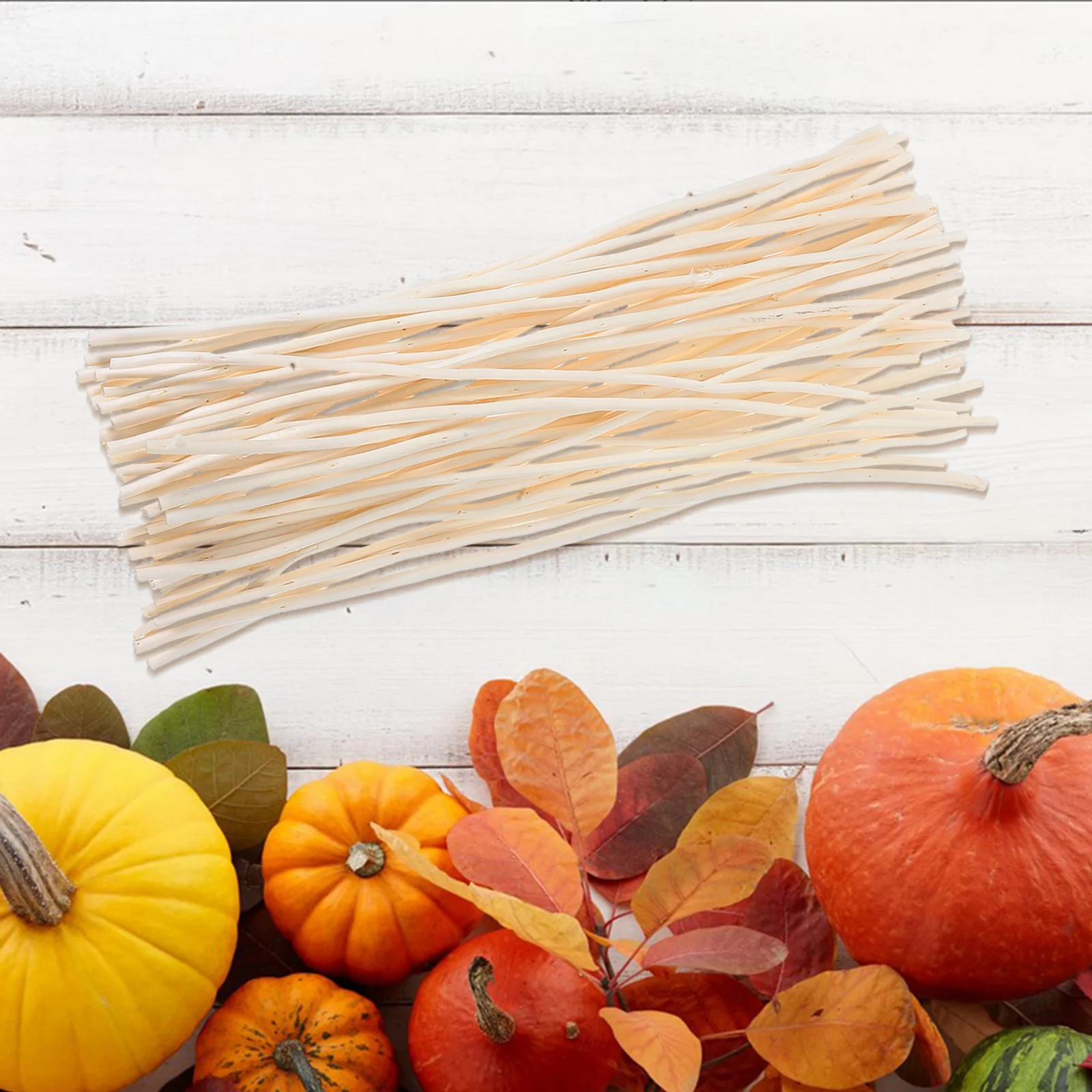 Сушеные натуральные ивы в стиле wabisabi - Фотография_4